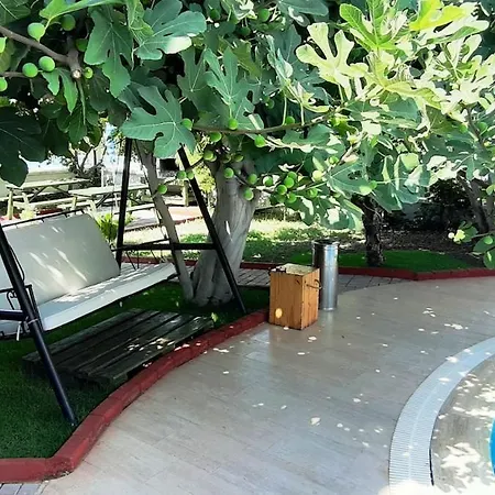 Lycian 3 2 Living - Great Location Апартаменты Фетхие